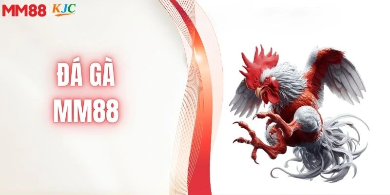 Đá Gà MM88 | Chinh Phục Chiến Kê Nhận Thưởng Không Giới Hạn