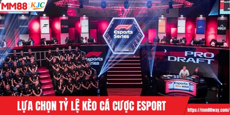 Lựa chọn tỷ lệ kèo cá cược Esport