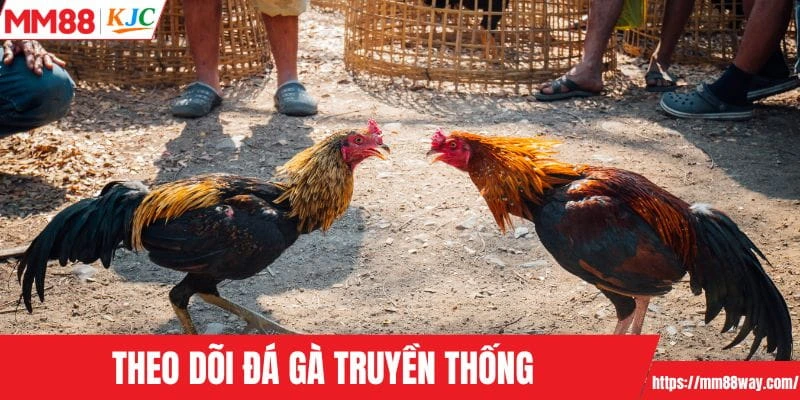 Theo dõi đá gà MM88 truyền thống