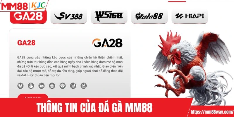 Thông tin của đá gà MM88