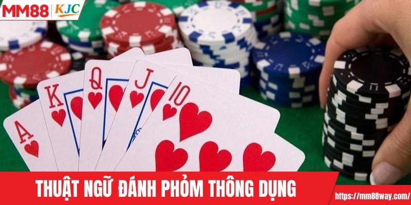 Thuật ngữ đánh phỏm thông dụng
